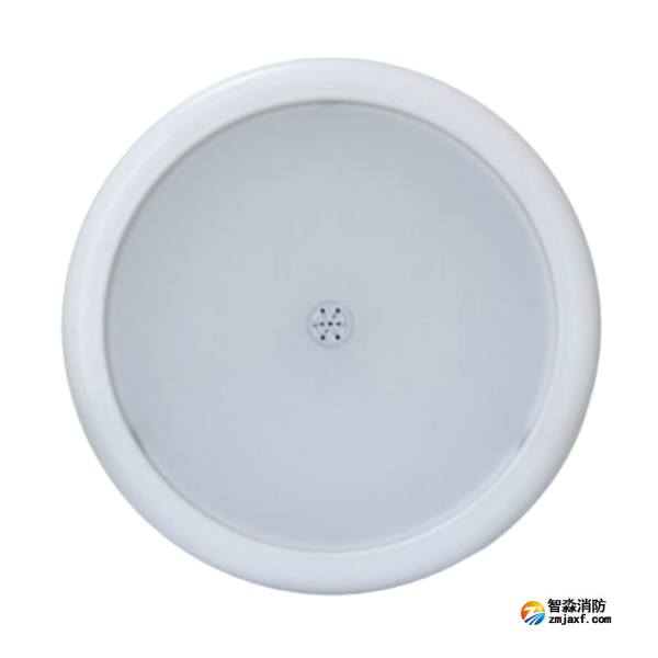 海灣HW-ZFJC-E12W-N653SG集中電源集中控制型消防應急照明燈具